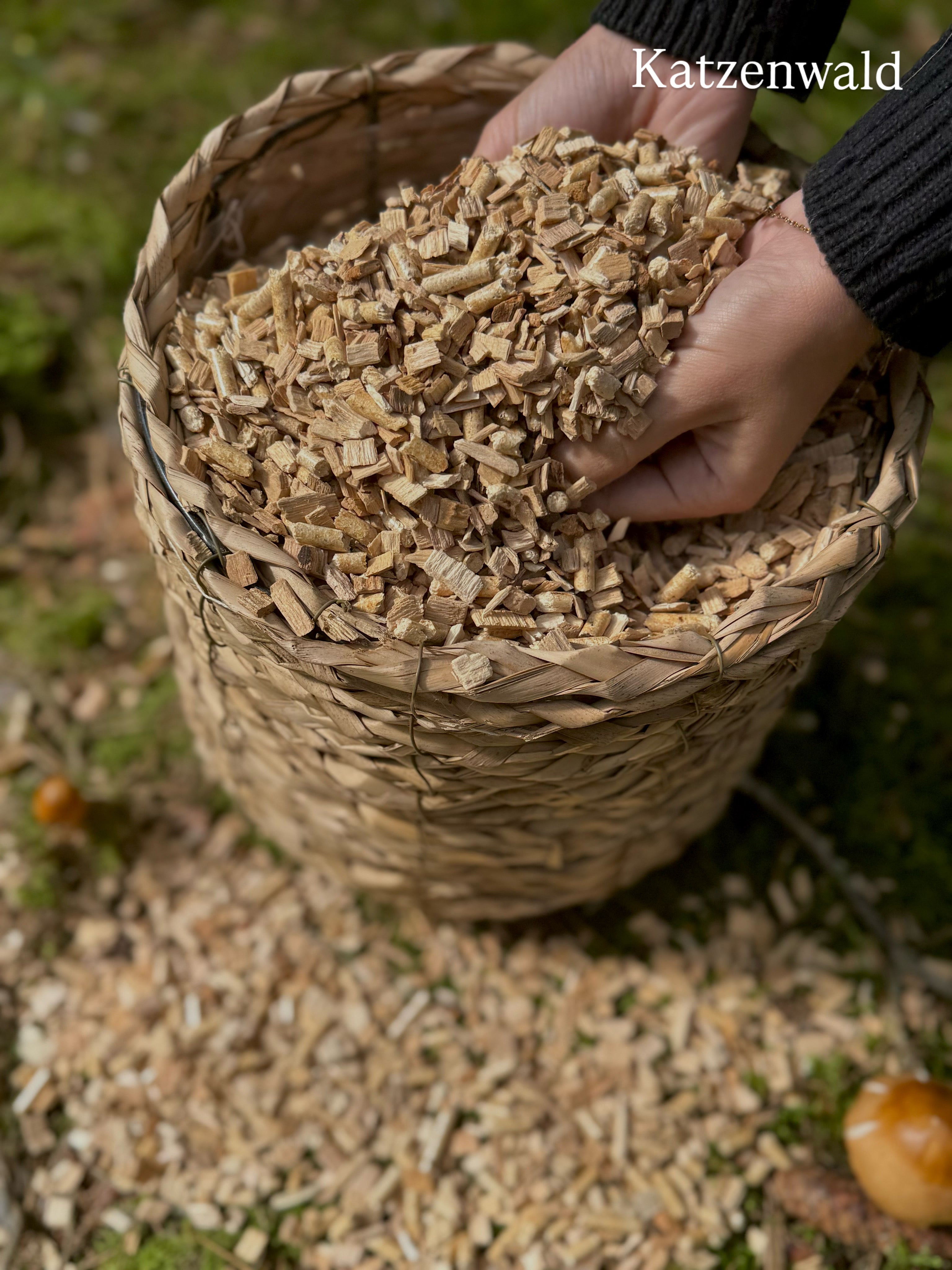 Katzenwald Waldluft Naturstreu XL