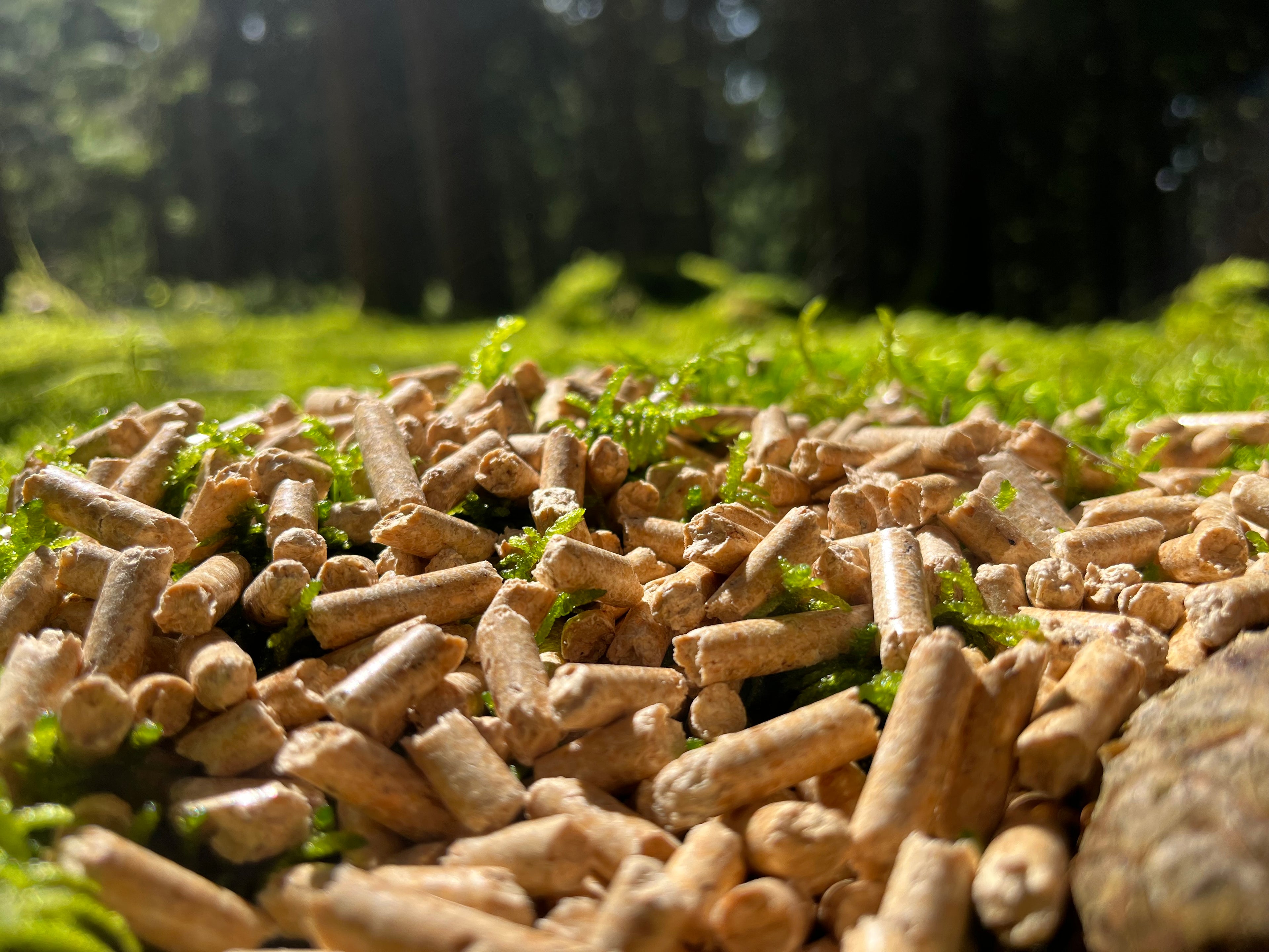Katzenwald Waldluft Naturstreu Pellets Plus